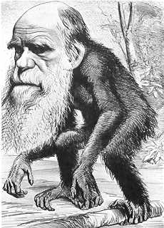 Caricatura de Darwin amb cos de mico